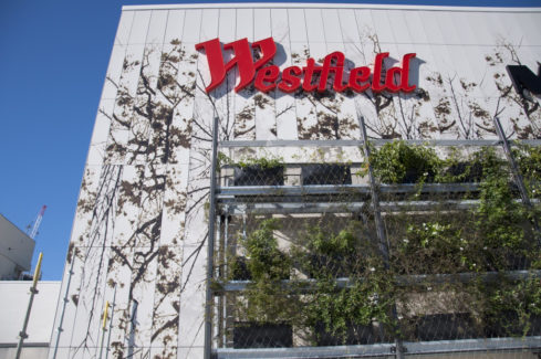 VitraPanel Custom Image Westfields Bondi